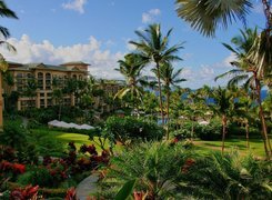Hotel, Park, Kwiaty, Palmy, Morze, Hawaje