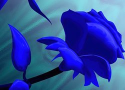 Niebieska, Róża, Art