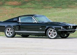 Ford Mustang GT 500