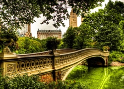 Central Park, Most