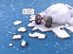 Pingwiny, Śnieg, Kra