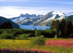 Góry, Śnieg, Łąka, Drzewa, Morze, Alaska