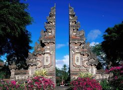 Indonezja, Bali, Murki, Kwiaty, Drzewa
