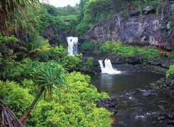 Hawaje, Maui, Baseny, Drzewa, Palmy