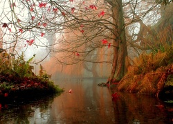 Rzeka, Jesień, Mgła