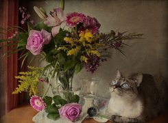 Kot, Bukiet, Kwiatów