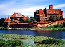 Zamek, Krzyżacki, Malbork