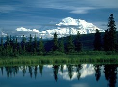 Jezioro, Drzewa, Góra, McKinley, Alaska