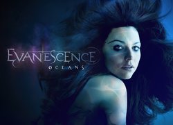 Amy Lee, Evanescence