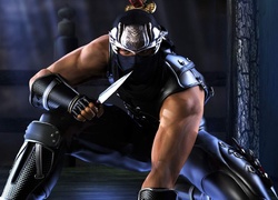 Ryu Hayabusa, Ninja Gaiden, Nóż, Zbroja, Maska