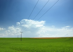 Duża, Łąka, Niebo, Chmury, Linia, Energetyczna