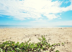 Morze, Plaża, Niebo