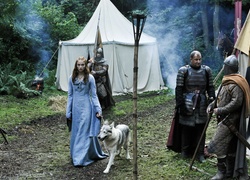 Gra o tron, Game of Thrones, Sansa Stark, Sophie Turner, Rycerze, Pies, Aktorka