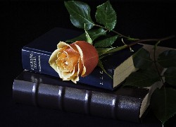 Róża, Listki, Biblia