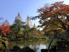 Ogród, Kanazawa, Japonia