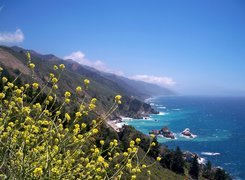 Big Sur, Woda, Góry, Kwiatki