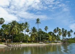 Plaża, Palmy, Domy