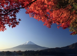 Japonia, Góra, Mount, Fuji, Czerwone, Liście
