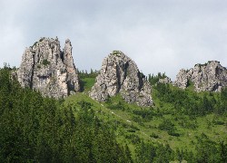 Skały, Góry, Las