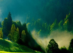 Poranna, Mgła, Zielone, Wzgórza