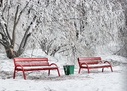 Park, Oszronione, Drzewa, Ławki