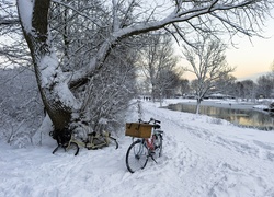 Park, Śnieg, Rzeka, Rowery