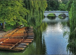 Park, Łódki, Rzeka, Most