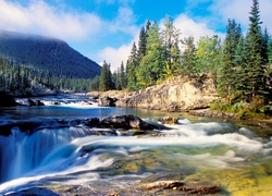 Wodospad, Rzeka, Drzewa, Alberta, Kanada