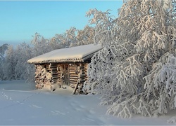 Piękna, Zima, Domek, Ośnieżone, Drzewa