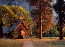 Stany Zjednoczone, Stan Kalifornia, Park Narodowy Yosemite, Kościółek Yosemite Valley Chapel, Drzewa