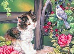Kotek, Ptaszek, Róże, Jeżyny