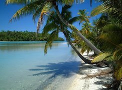 Aitutaki, Wyspy Cooka, Woda, Palmy, Nowa Zelandia