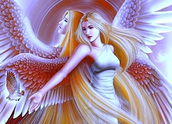 Kobieta, Anioł, Włosy, Ptak