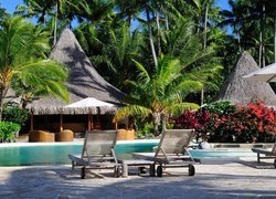 Bora Bora, Hotel, Palmy