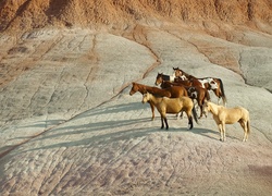 Konie, Mustangi, Góry