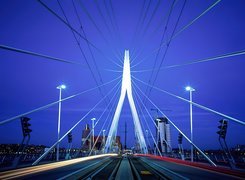 Most, Rotterdam, Holandia