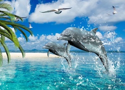Delfiny, Morze, Palmy