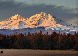 Góry, Las, Łąka, Koń