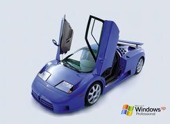 System, Operacyjny, Windows, XP, Samochód