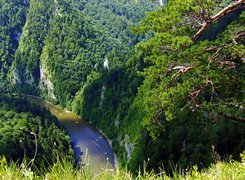 Pieniny, Rzeka, Dunajec, Spływ