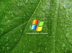Windows, Vista, Liść, Krople, Wody