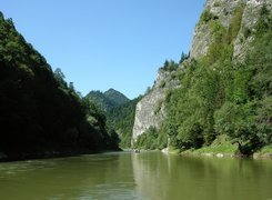 Dunajec, Góry, Drzewa