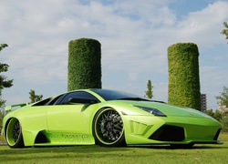 Zielone, Lamborghini