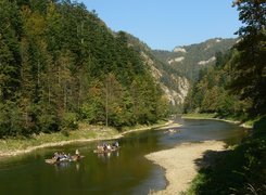 Dunajec, Spływ, Góry, Drzewa