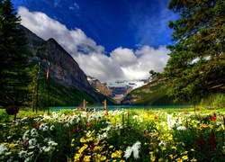 Góry, Jezioro, Park, Kolorowe, Kwiaty