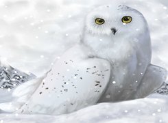Biała, Sowa śnieżna, Śnieg, Grafika