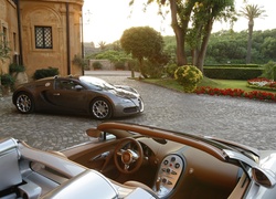 Dom, Ogród, Samochód, Bugatti Veyron
