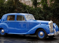 Zabytkowy, Niebieski Rolls Royce, Ulica, Drzewa