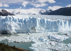 Argentyna, Lodowiec, Perito Moreno, Góry, Drzewa, Park Narodowy Los Glaciares