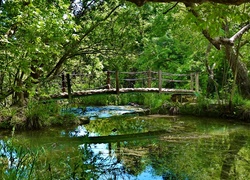 Park, Staw, Mostek, Zieleń
